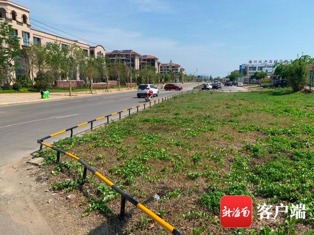 新合埠路最新動態(tài)，邁向未來的城市主干道重塑與升級